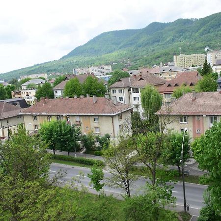 Apartament Hospital View Independentei Rhbm Baia Mare Extérieur photo